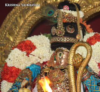 Sri Narasimha Swamy, Dhavana Utsavam, Theliya Singar, Azhaiya Singar,Thirumanjanam, Purappadu,  Triplicane,  Purappadu, Thiruvallikeni, Utsavam