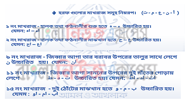 ইবতেদায়ী ৫ম শ্রেণির কুরআন মাজিদ এসাইনমেন্ট সমাধান, ৫ম সপ্তাহের এ্যাসাইনমেন্টর উত্তর