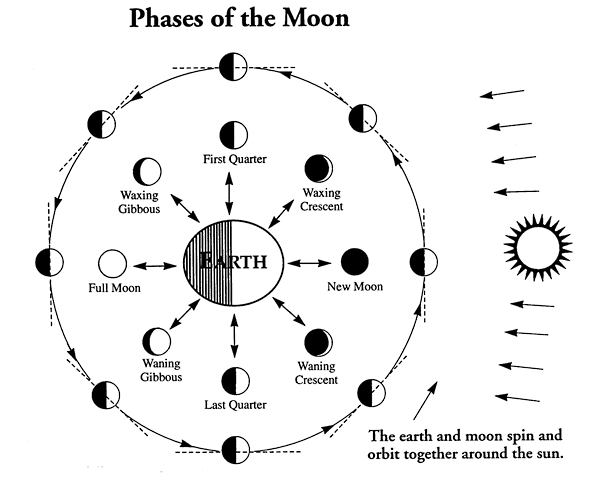 What causes the Moon's phases