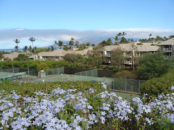 Our Condominium