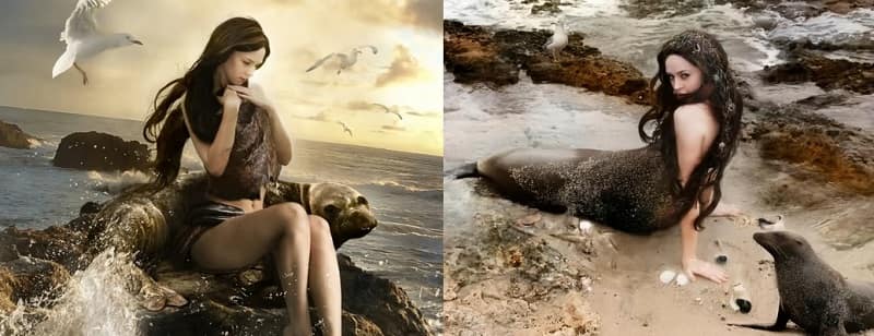Who Are Selkies (The Seal Women)? | Legend Of The Selkies In Scottish Mythology