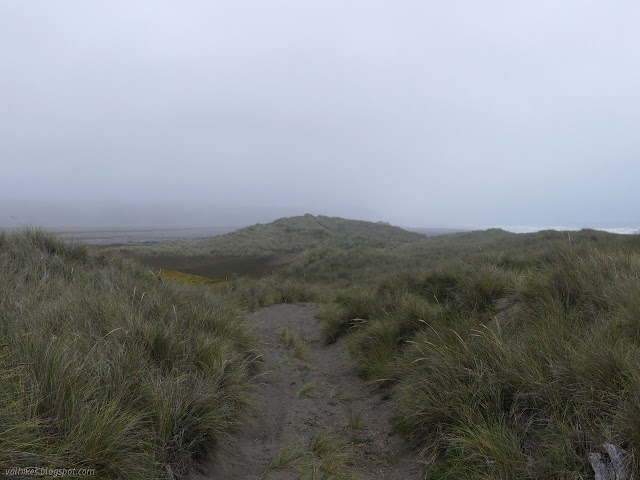 sand between grass