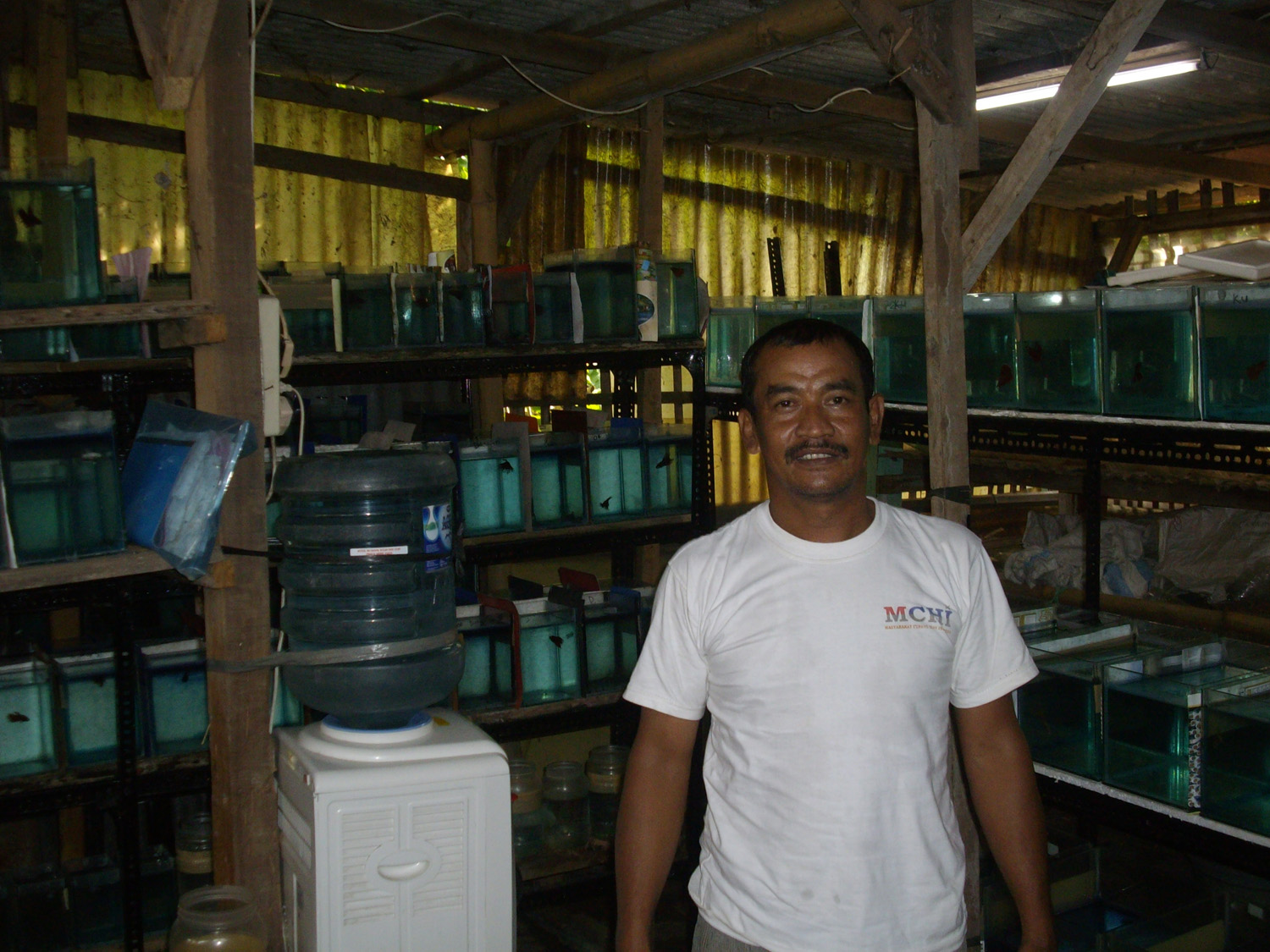 Dunia Ikan Cupang Hias: "Kandangnya" Bang Rudy Ciledug R.I.P