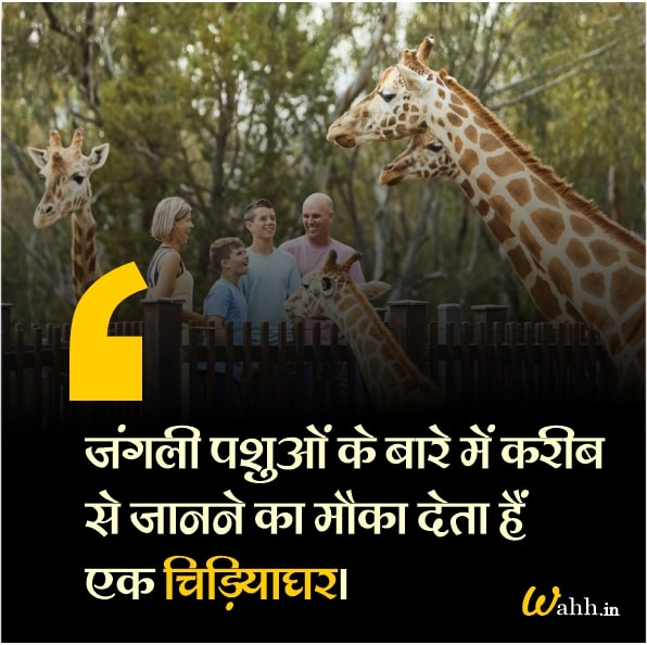 Beautiful Zoo  Quotes