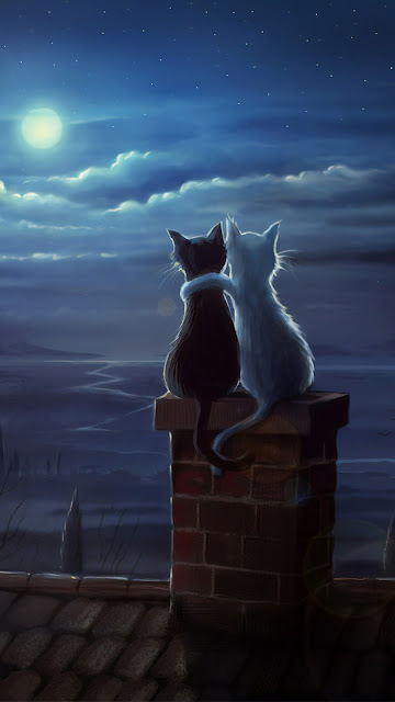 Cat Friends on a Roof Wallpaper