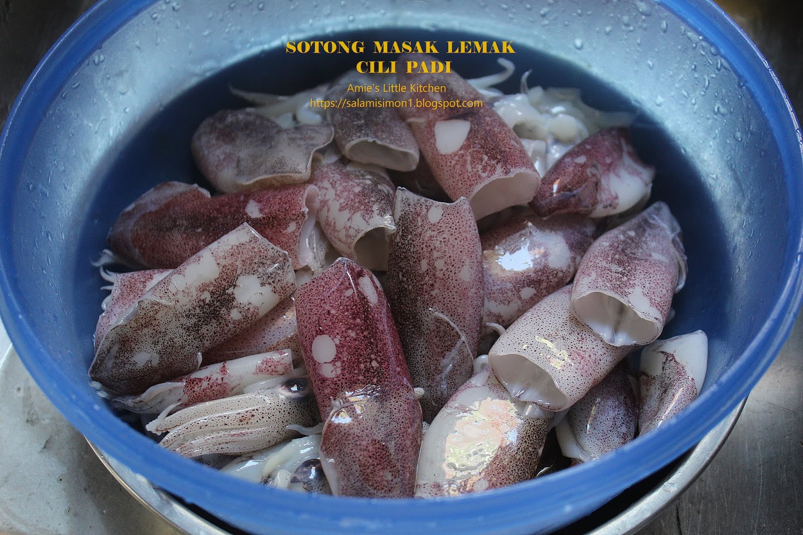 Resipi Sedap Sotong Masak Lemak Cili Padi - AMIE'S LITTLE ...