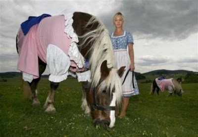 horse fancy dress