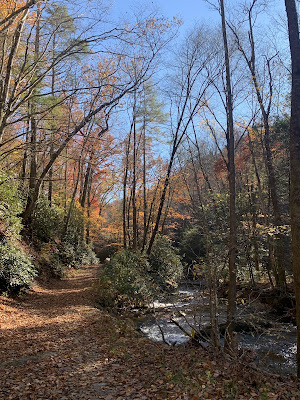 A bend in the flat hiking trail that is covered in fallen leaves. There are tall trees to the left of the trail and some small shrubbery to the right of the trail along with a river that runs parallel to the trail almost its entire length.