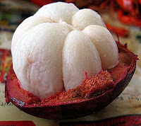 buah manggis