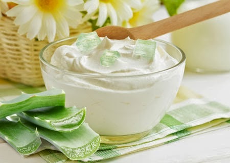 Cách làm sữa chua nha đam giúp giải nhiệt ngày nóng Cách làm sữa chua nha đam giúp giải nhiệt ngày nóng
