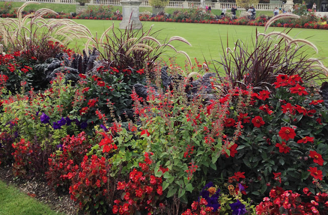 Modigt blomstervalg i Jardin du Luxembourg