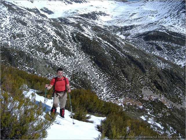 Catoute 7