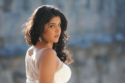 deeksha seth from nippu, deeksha seth hot photoshoot