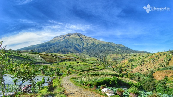 Sedengkeng Pass Tempat View Gunung  Sindoro Dari 