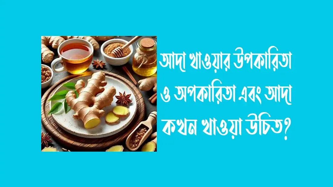আদা খাওয়ার উপকারিতা ও অপকারিতা এবং আদা কখন খাওয়া উচিত?