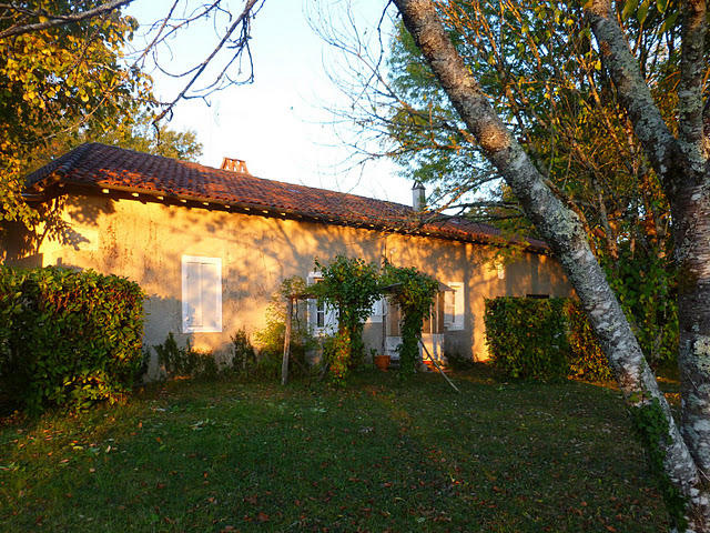 P1010866-2011-10-19-17-30.JPG