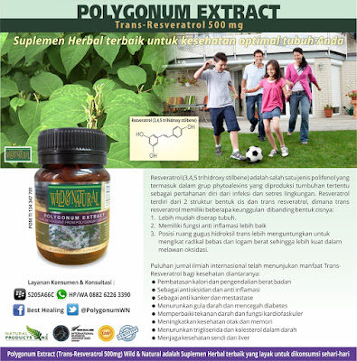 Trans Resveratrol Polygonum Extract