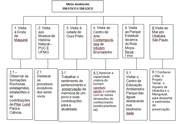 estrutura analítica MEIO AMBIENTE