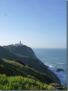 P1190966