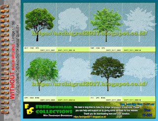 Tree Png Image, Lust Tree Side View 11-001