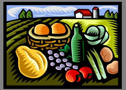 Healthy Lifestyles Salt Lake County Wellness: Farmers Markets