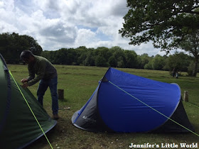 Pitching a tent in the New Forest camping