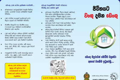 Dengue Fever Sri Lanka Symptoms Prevention and how to control sinhala leaflet