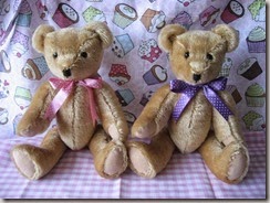 Gabriella and Francescas Bears