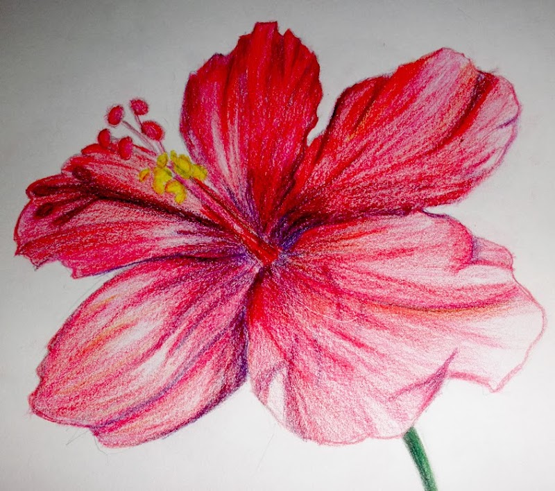 Inspirasi Terkini Lakaran Lukisan Bunga