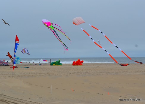 Kites on the beach