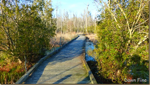 Goose Creek State Park _023