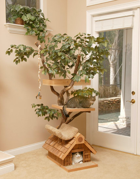 Tree Houses for Cats
