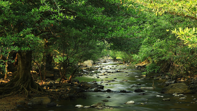 Wang Ta Khai Waterfall