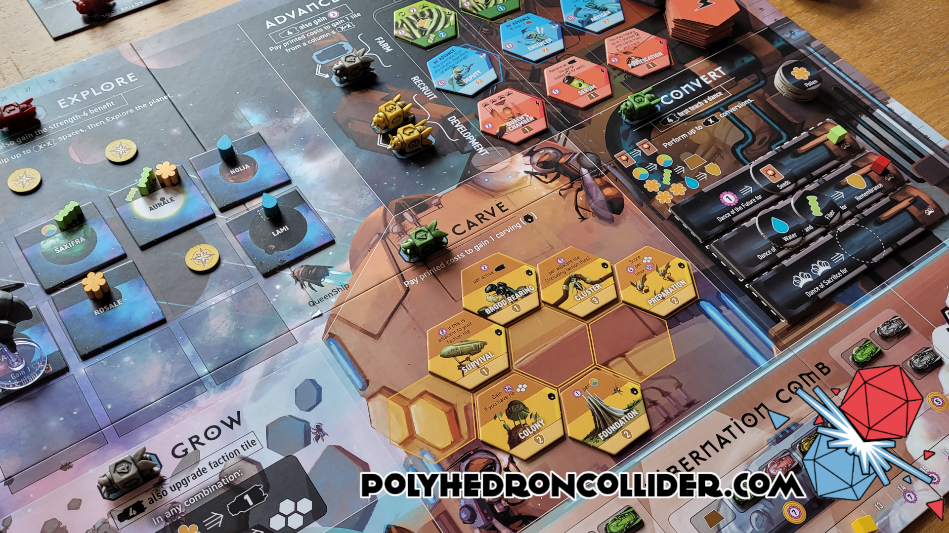 Polyhedron Collider Apiary Board Game Review - In Play