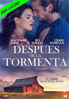 DESPUES DE LA TORMENTA – AFTER THE STORM – DVD-5 – DUAL LATINO – 2019 – (VIP)