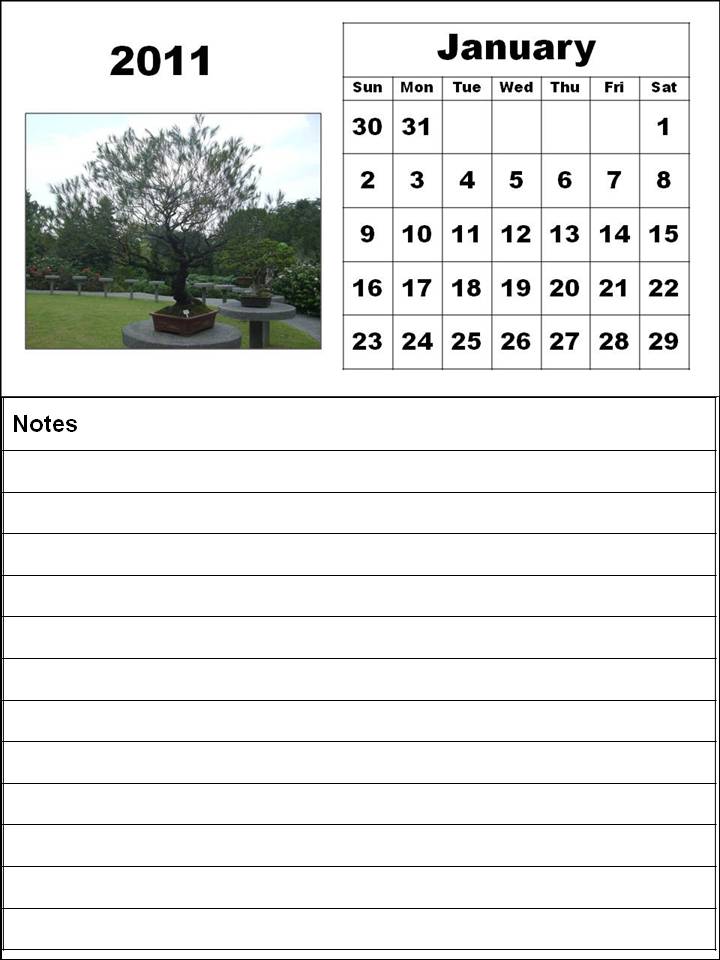 january calendar 2011 template. PRINTABLE RX TEMPLATES