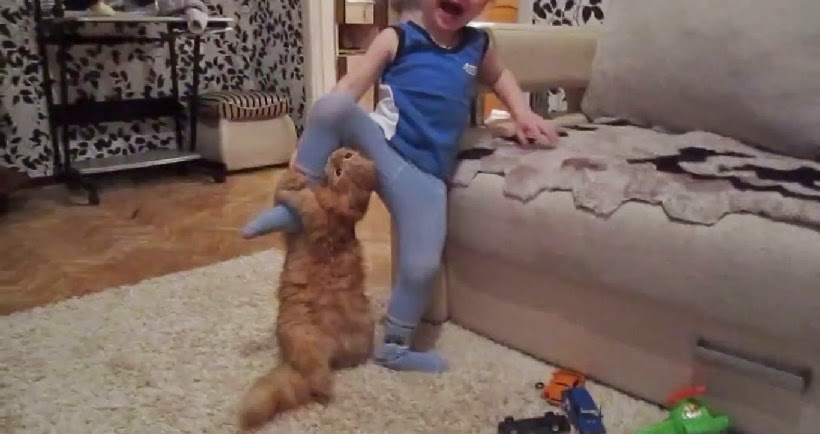LOVELY CAT ENTERTAINING A KID