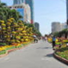 View album