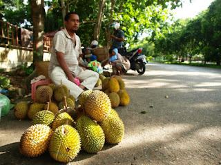 Ladang Emas Jualan Buah Musiman