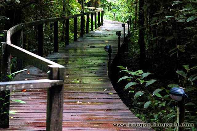 Walkway at the Mulu National Park