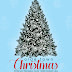 Elegant Balsam Fir Christmas Tree Images