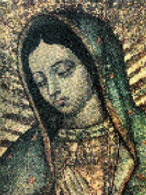 Detalle de la Imagen de la Virgen de Guadalupe