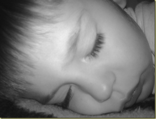 IMG00532-20090617-2156