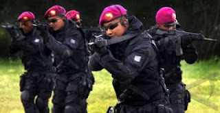 TAIFIB - INTAI AMFIBI MARINIR – Indonesian Marine Force Recon