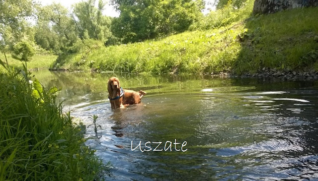 Frodo w Białymstoku :)