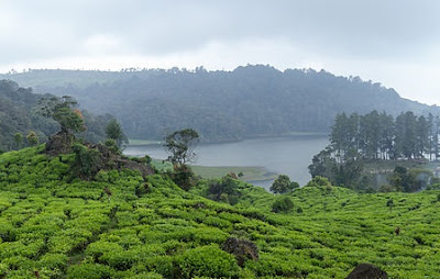 Tempat Wisata Alam di Bandung Situ Patenggang