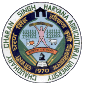 Jobs of CCSHAU hisar at http://www.SarkariNaukriBlog.com