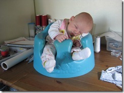 IMG_1491 IMG_1491