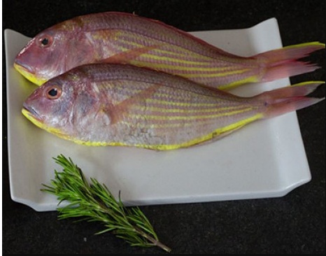 Kilimeen / Rani / Ocean Perch / Thread Finned Bream