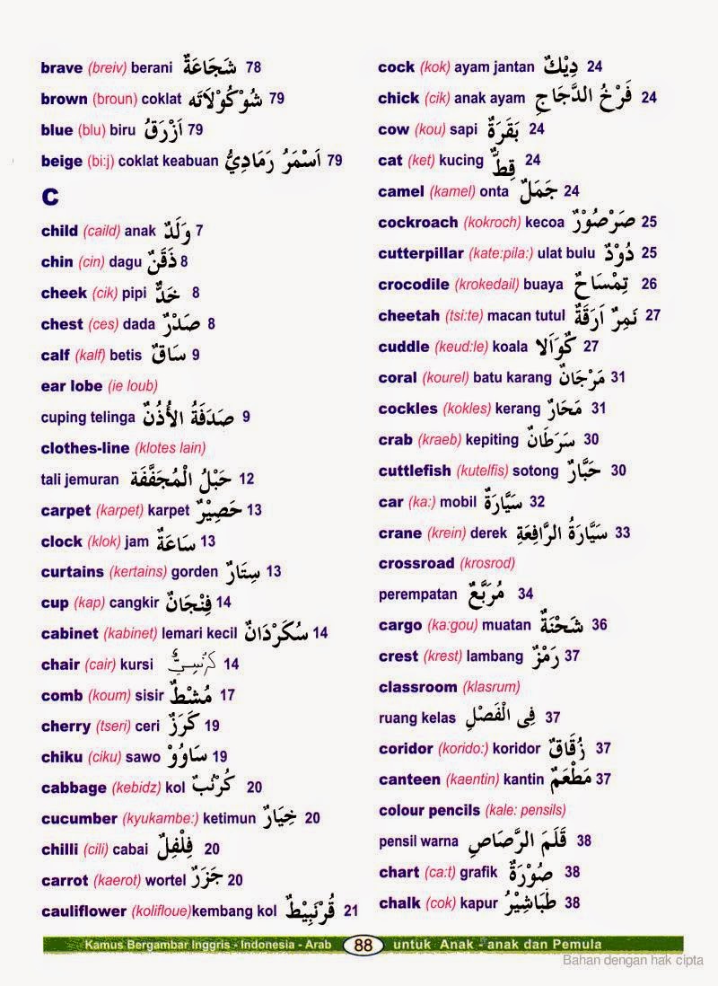 Istilah istilah bahasa Arab yang sering digunakan dalam 